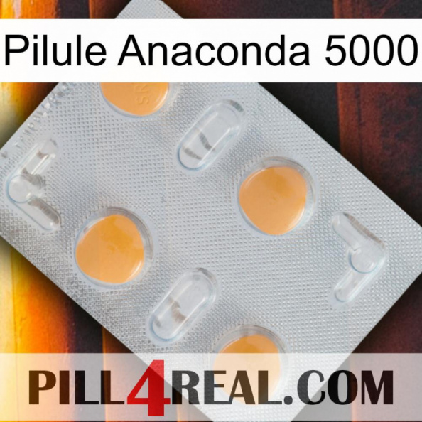 Anaconda 5000 Pill 24.jpg